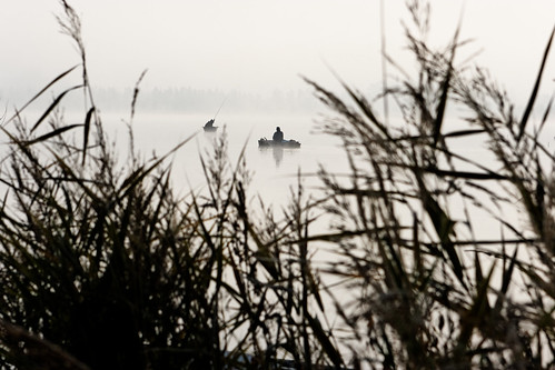 morning mist lake cold grass fog boats pond fishermen