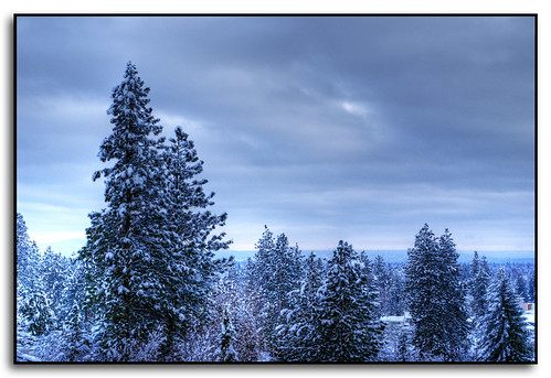 trees winter snow clouds washington spokane hdr