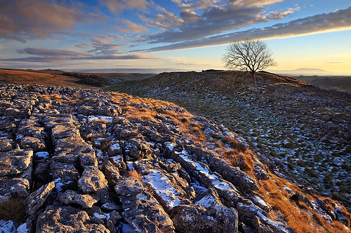winter sunset england snow tree grass landscape rocks europe yorkshire limestone clints magichour goldenhour tse malham yorkshiredales limestonepavement greatphotographers malhamlings grykes