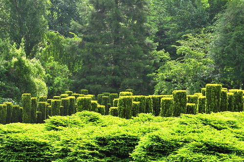 topiary frenchgarden jardinremarquable sericourt jardindesericourt