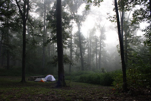 arkansas nationalriver buffalonationalriver trees fog tent canonefs1855mmf3556is canoneosrebelxs