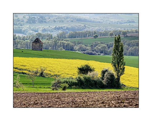 rural jaune champs lot vert paysage et campagne garonne pigeonnier colza lotetgaronne