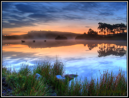 trees mist reflection sunrise reeds dawn scotland nikon rocks lee nd loch filters grad gloaming knapps lochside knappsloch artfromaf
