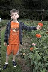 nick likes orange zinnia to match his outfit 