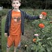 nick likes orange zinnia to match his outfit