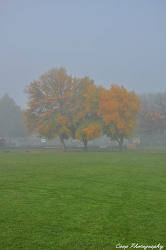 park morning trees red 2 orange mountain green fall water yellow fog clouds photography washington nikon october raw view wa coop processed ellensburg 2010 d90