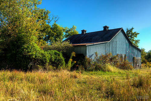 trees field grass barn kentucky country bluesky canonef1740mmf4lusm hdr pennyrileforeststatepark canoneos1dsmarki