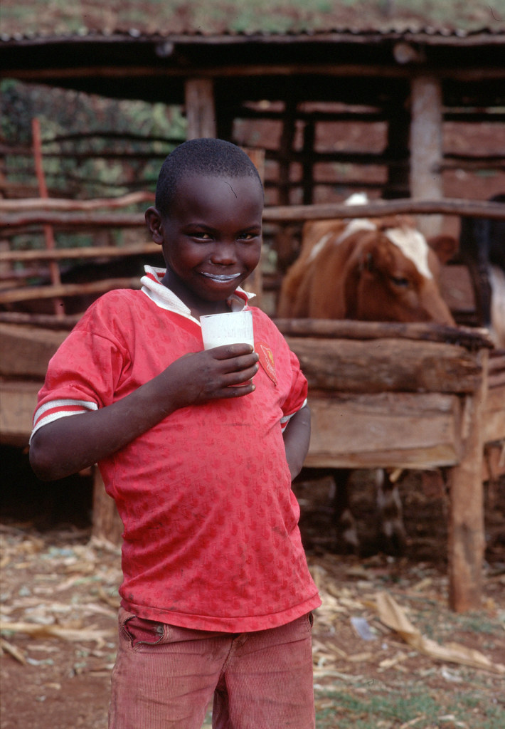 Kenyan boy drinking milk
