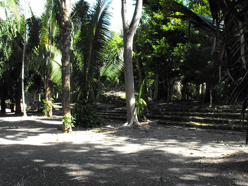 ruinas quintanaroo chacchoben arqueológicas riveramaya
