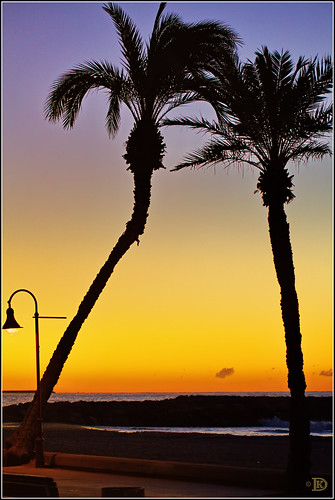 sunrise sonnenaufgang palmen cubelles mywinners klausdolle lovepalmtrees