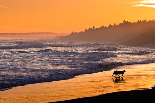 ocean sunset usa beach coast landscapes flickr surf waves maine places 7d northamerica portfolio higginsbeach naturesubjects