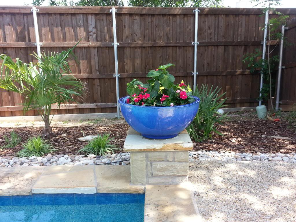 North Texas landscaping ideas needed - Page 2