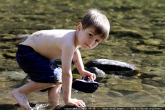 sequoia playing in the river 