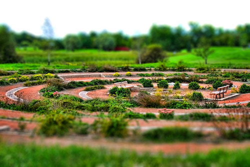 lumix day winnipeg manitoba clear remembrance processed hdr tiltshift fz35