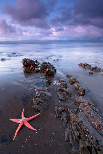 chile mar estrella oceano llico arauco piure octavaregion tubul singhray alvaroespinoza alvaroespinozafotografia alvaroespinozashawcroft