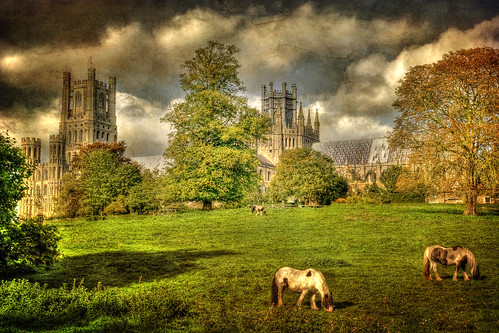 autumn england horses landscape religious cathedral meadow ely aged hdr textured elycathedral bracey tonemapped andybracey thetreesareturning agreenland