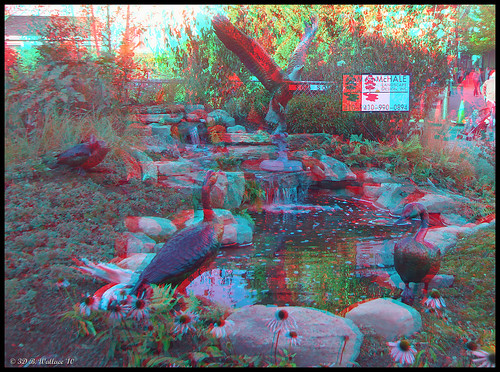 sculpture art pool outside outdoors stereoscopic 3d md landscaping brian maryland anaglyph stereo wallace easton stereoscopy stereographic brianwallace stereoimage stereopicture