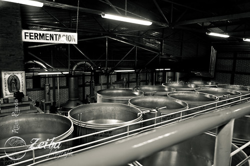 mexico factory jalisco tequila photowalk fabrica tanks cofradia tanquies