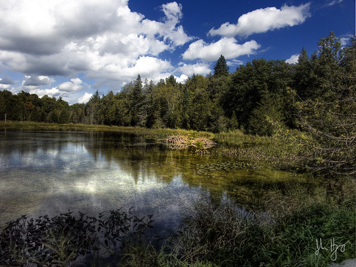 ontario canada pond beaver hdr beaverlodge 5xp cans2s xdop