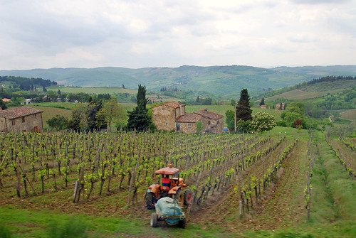 Chianti wine region