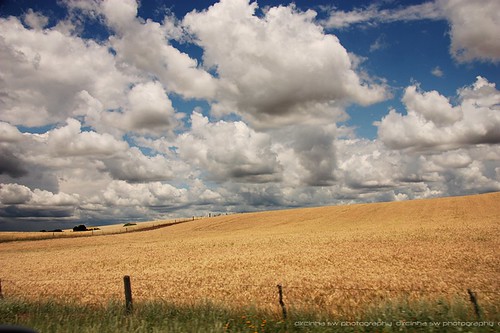 sky rio brasil clouds canon de janeiro no paz scene paisagem céu nuvens pampas trigo agricultura trigal grandedosul dircinha br285 paznoriodejaneiro