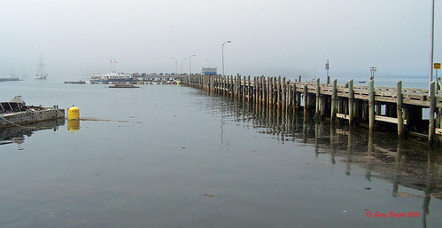 fog harbor standrews buoyant