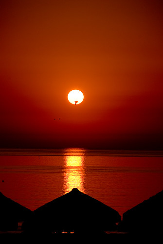 sun beach sunrise gull ombrelloni gabbiani abruzzo beachumbrella giulianova