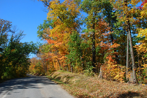 autumn ohio color leaves landscape fallcolors peak zionridgeroad