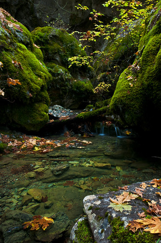ca autumn leaves rock creek landscape moss indian limestone nativeamericans hayfork naturallandbridge wintu