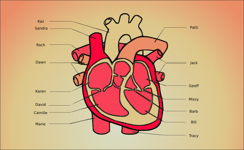 My heart diagram | Flickr - Photo Sharing!