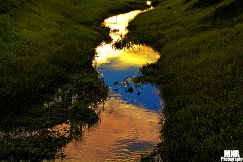 sunset sunrise canon river tampa florida t2i
