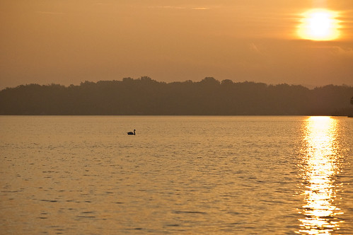 lake sunrise swan michigan gunlake barrycounty allegancounty scenicmichigan