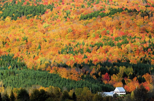 canada fall automne foliage laurentians laurentides feuillage québec photoquébec