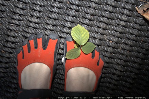 stowaway blackberry leaf between my toes