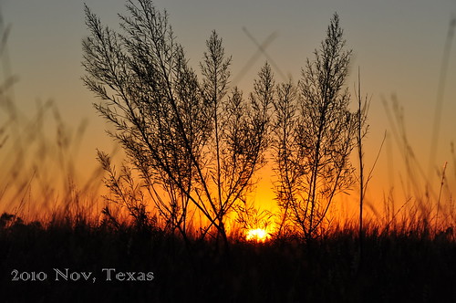 sunset copperascove