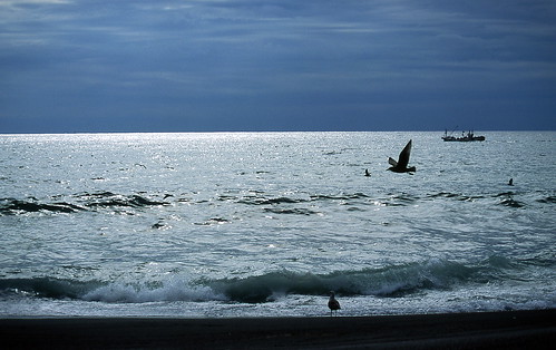 light sea storm hokkaido ship seagull wave beam 北海道 kojohama 虎杖浜