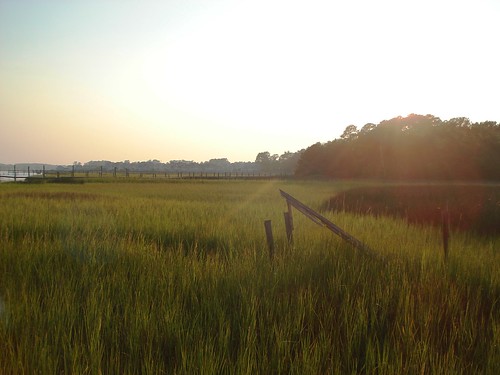 sunset sea grass river little south carolina marsh