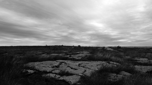 statepark leica bw grass landscape prairie bison mn quartzite linear bedrock blueish remnant luverne bluemoundsstatepark minnesotafats nativeprairie siouxquartzite rockcounty dlux4 minnesotaflats