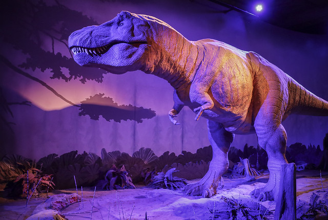 Natural History Museum - Dinosaurs display