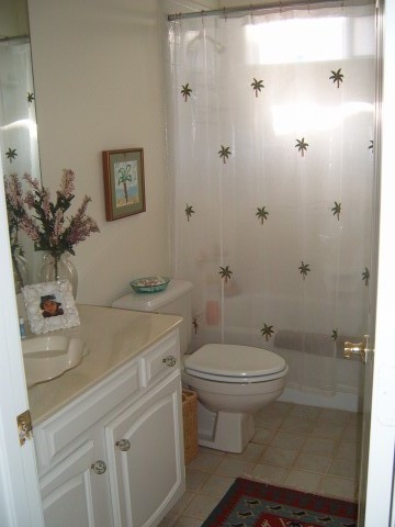 guest bath before