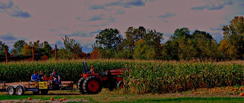 tractor farm rides hay fall10