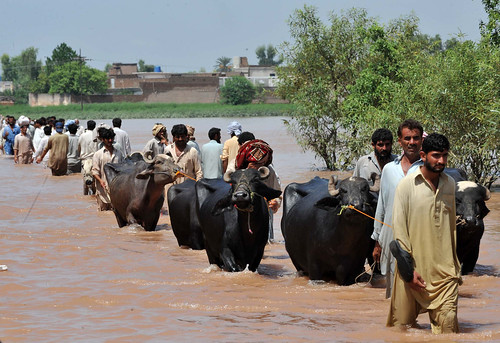 2010巴基斯坦大洪水的災民(攝影：Abdul Majeed Goraya / IRIN)