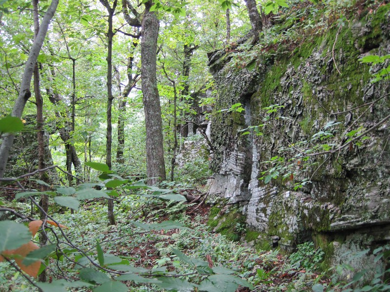 Another rocky ledge on the east side of Sherrill, that we had to find a climbable path upward/through. 