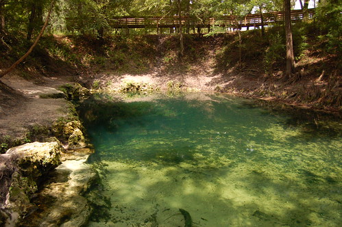blue water spring lafayette springs suwannee