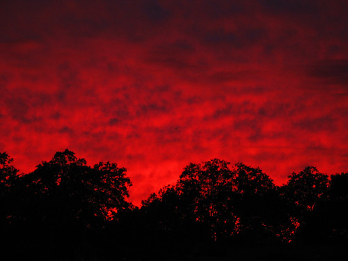 trees sunset red sky silhouette clouds skyscape sonnenberg canandaiguany