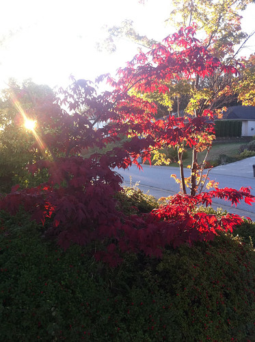fall sunrise colours