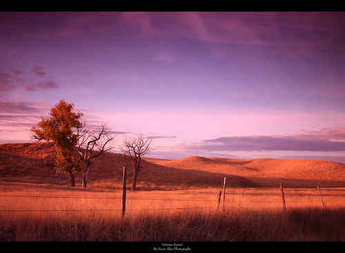 longexposure nightphotography autumn trees sunset sky fall night clouds southdakota fence landscape interestingness interesting scenic explore prairie autumnsunset prairiesunset explored longexposurephotography sunsetphotography sceniclandscape fallsunset beautifulphotography scenicsunset kevinaker kevinakerphotography