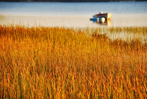 lake ontario fog boats duck 911 ducks september deer september11 muskoka 2010 pickerel sundridge pickerellake 201009 pickerellakemuskokacom