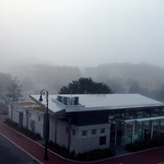 Early Fog