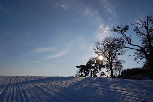 blue winter light sky cloud sun sunlight white snow tree landscape suffolk view soe
